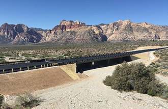 photo of a bridge in the Mojave desert