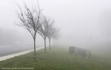 photograph of a road and a sidewalk in fog