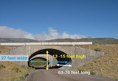 Photograph of a culvert under I-15 near Beaver, Utah that has been marked with the following dimensions: 27 feet wide, 13-15 feet high, and 65-76 feet long