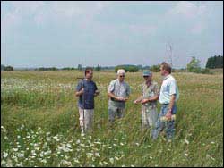 MDOT and MDEQ staff working together to review a wetlands site