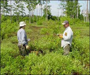 Field staff, like these two biologists working in the field, were determined to be key participants in the project review process.