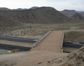Photograph of a wildlife overpass across a divided highway, connecting a large valley to a hill