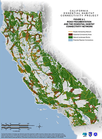 Map of California, color-coded to show Roads Intersecting Network, Essential Connectivity Areas, Natural Landscape Blocks, and Potential Riparian Connections.
