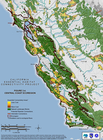 Map of the central coast ecoregion of California, color-coded to show levels of Essential Connectivity Areas (from Less Cost to More Cost), Natural Landscape Blocks, Potential Riparian Connections, and Interstate Connections.