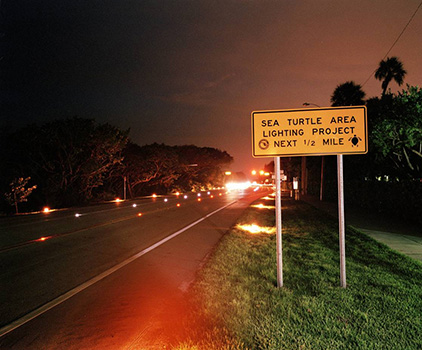 Photograph at night of a highway with illuminated embedded roadway lighting and a 'Sea Turtle Area Lighting Project; Next 1/2 Mile' caution sign on the right highway shoulder