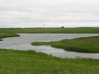 Photograph of a successful wetland mitigation site, showing clean waterways through grassy fields