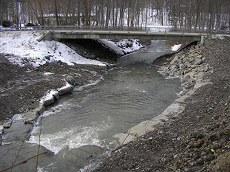 Photograph of the Cayuga Inlet underneath the State Route 34 bridge