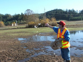 Photograph of Ron Francis, ODOT Wetland Specialist, assisting with hand-seeding of native milkweed at the Fort Hill mitigation site. Bare ground is evident due to first-year plowing and herbicide treatments implemented to remove weeds from the site. The earliest emerging seedlings from native seed applications are beginning to appear in the background. Standing water is also evident as a result of old underground drainage tiles that were disabled to restore natural wetland conditions.