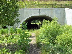 Photograph of a bottomless arch culvert