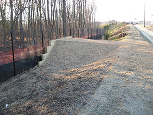 Photograph of a deer escape ramp