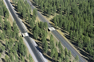 Aerial photograph of US 97, showing wildlife-only crossing structures installed on both the northbound and southbound corridors