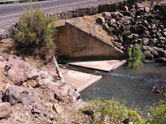 Photo of Bowman Creek on SR 142 west of Goldendale, Washington before implementation of a fish passage project