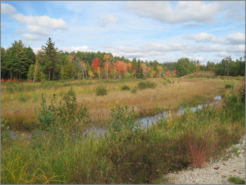 photograph of the Pequawket Pond Mitigation Site in Conway, New Hampshire: a body of water surrounded by wetlands
