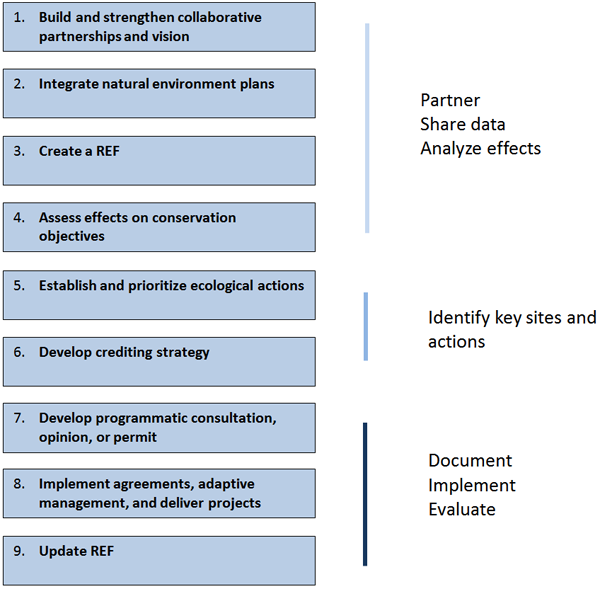 graphic of the nine steps of the IEF divided into three categories: (1) partner, share data, analyze effects (step 1: Build and strengthen collaborative partnerships and vision; step 2: Integrate natural environmental plans; step 3: Create a REF; step 4: Assess effects on conservation objectives), (2) identify key sites and actions (step 5: Establish and prioritize ecological actions and step 6: Develop crediting strategy), and (3) document, implement, evaluate (step 7: Develop programmatic consultation, opinion, or permit; step 8: Implement agreements, adaptive management, and deliver projects; and step 9: Update REF)