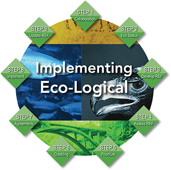 Graphic showing the nine steps of the Eco-Logical Process: Step 1: Collaboration; Step 2: Eco Status; Step 3: Develop REF; Step 4: Assess REF; Step 5: Prioritize; Step 6: Crediting; Step 7: Agreements; Step 8: Implement; and Step 9: Update REF. A text box points to Step 3 and contains the following text: The Regional Ecosystem Framework: Step 3 in the nine-step IEF is the development of a regional ecosystem framework (REF), a key product in applying the Eco-Logical approach. The REF is the consolidation of the data collected in Step 2 with land use plans and long-range transportation plans into a geospatial database. The image also includes this paragraph of text: The steps of the Eco-Logical approach. More information on each step is available on the Eco-Logical website.