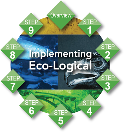 Graphic of the nine steps of the Eco-Logical Process