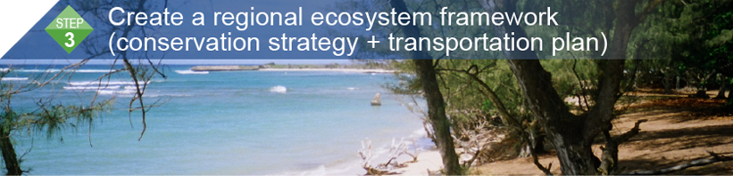 Step 3:Create a regional ecosystem framework (conservation strategy + transportation plan)