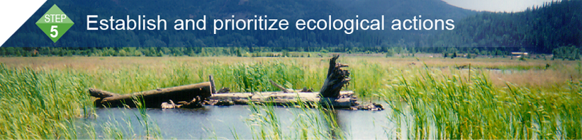 Step 5: Establish and prioritize ecological actions