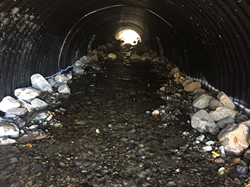 project culvert replacement