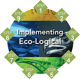 Graphic showing the nine steps of the Eco-Logical Process: Step 1: Collaboration; Step 2: Eco Status; Step 3: Develop REF; Step 4: Assess REF; Step 5: Prioritize; Step 6: Crediting; Step 7: Agreements; Step 8: Implement; and Step 9: Update REF.