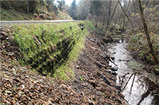 mechanically stabilized earth between a roadway and a stream