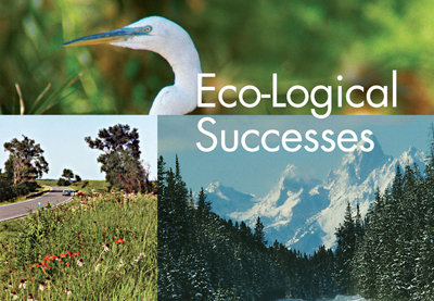 Cover of Eco-Logical Successes, with the title superimposed over three color photographs: a closeup of white egret's head and neck, wildflowers growing alongside a curving rural road, and steep, snow-capped mountains rising behind snowy, pine-covered hills