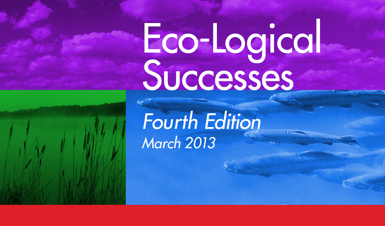 Cover of Eco-Logical Successes, Fourth Edition, March 2013, with three stylized colored photographs: a sky filled with cumulus clouds, a closeup of tall reeds at the edge of a fog-covered pond, and a school of fish