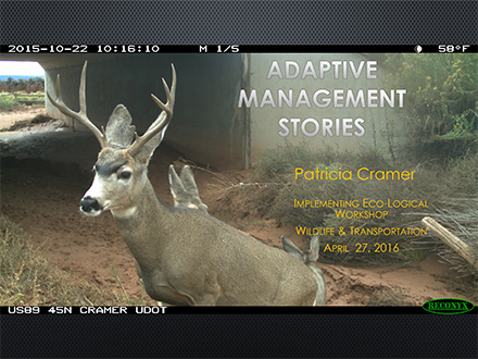 Slide: Adaptive Management Stories