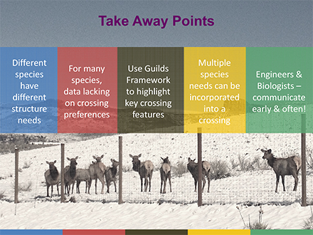 Slide: Take Away Points - Different species have different structure needs. For many species, data lacking on crossing preferences. Use Guilds Framework to highlight key crosssing features. Multiple species needs can be incorporated into a crossing. Engineers and biologists - communicate early and often!