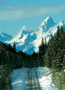 photo of a rural road on a forested mountain