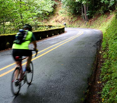 a bicyclist on a paved road on a forested mountain