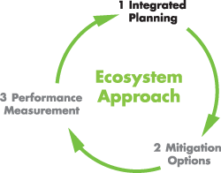 Ecosystem Approach Cycle