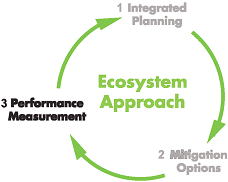 the ecosystem approach cycle