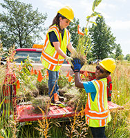 photo of two field workers removing native plants from the back of a pickup for replanting