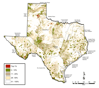 Figure 16: Map of TEAP composite, that is a model for the REAP composites.