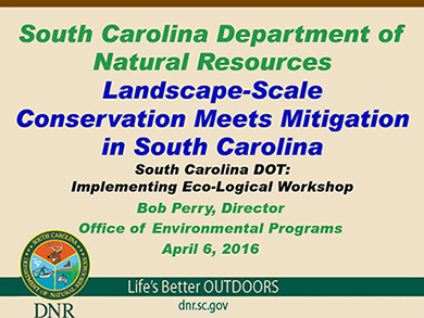 South Carolina Landscape Slide