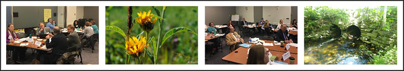 strip of four photos: two of participants at the peer exchange, a close-up of a yellow wildflower in a field, and a round culvert at the bottom of a stone bridge