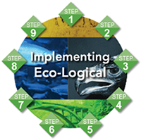 the 9-step Implementing Eco-Logical graphic