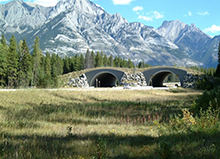 wildlife crossing overpass in Banff National Park