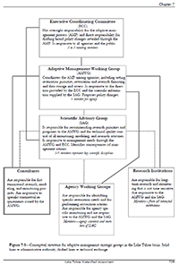 diagram showing a conceptual structure for adaptive management strategic groups