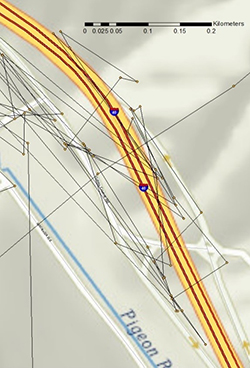 map showing the movement patterns of one collared elk