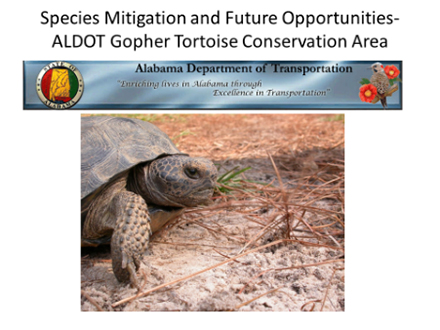 Species Mitigation and Future Opportunities Intro Slide