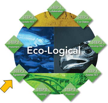 Eco-Logical flow chart
