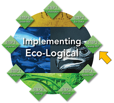9-step Eco-Logical flow chart with an arrow pointing to Step 3