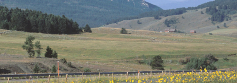 Photograph of the Bozeman Pass