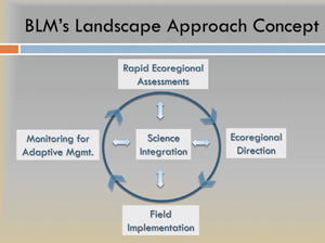 Graphic illustration of BLM's Landscape Approach Concept, which shows Science Integration at the center of four equally interdependent factors: Rapid Ecoregional Assessments, Ecoregional Direction, Field Implementation, and Monitoring for Adaptive Mgmt.