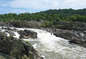 Photograph of a section of white water rapids cutting through a rocky area in a lush forest