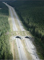 aerial photograph of a wildlife overpass