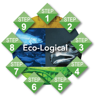 Ecological Process
