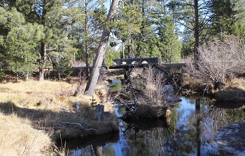 photo of a small bridge in the woods